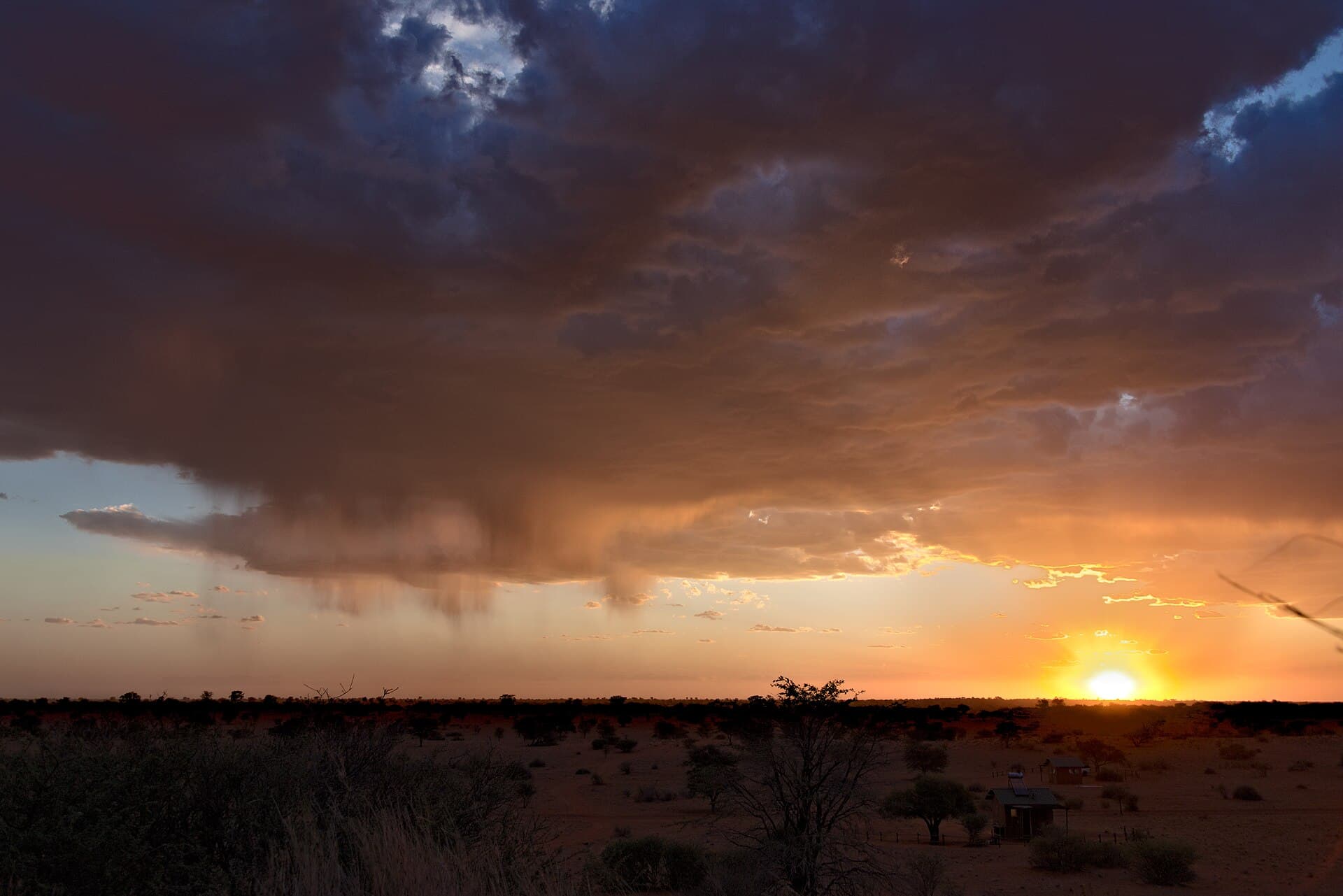 Etosha Wildlife Safari
