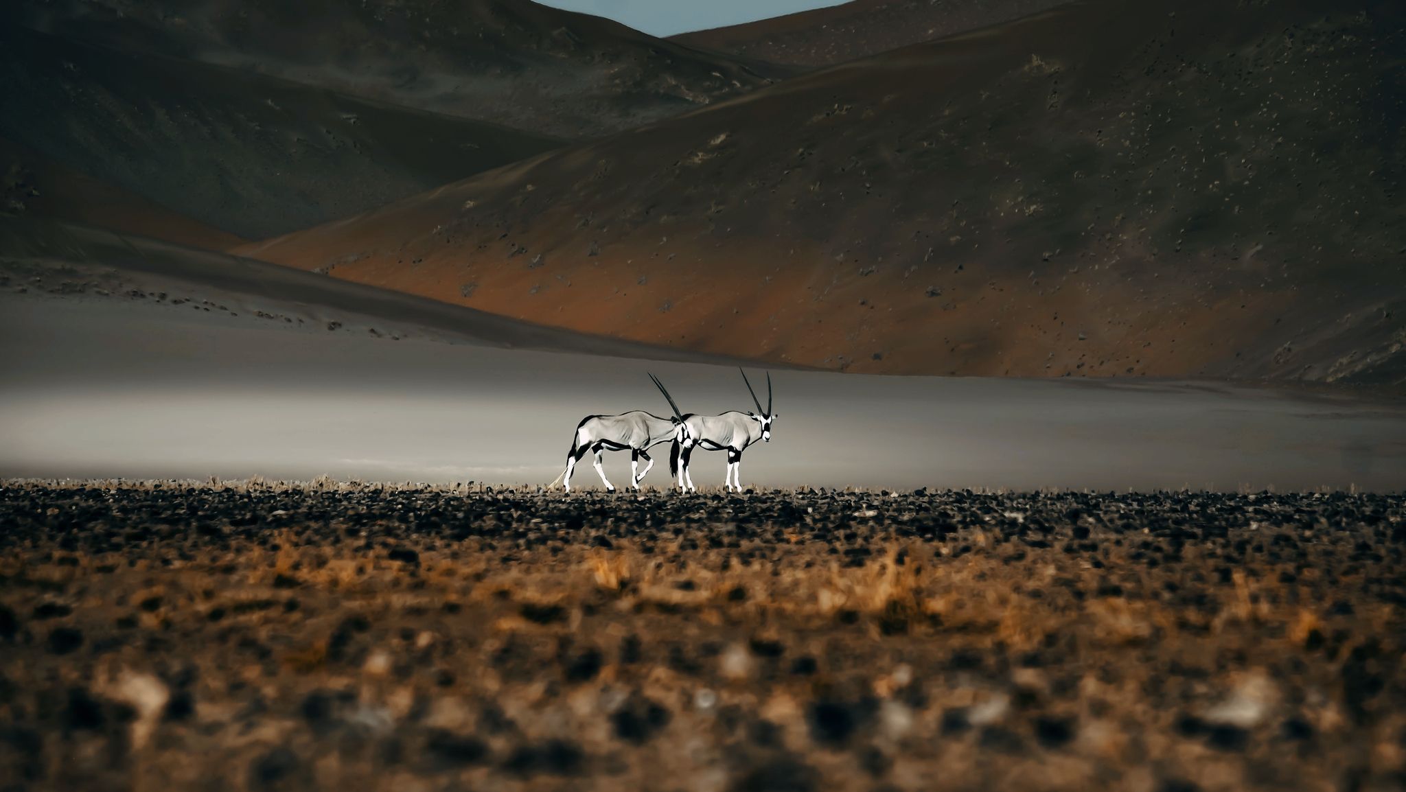 Namibia: Full of Wonders