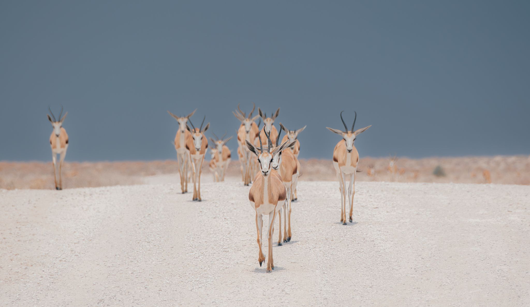 Walvis Bay Lagoon
