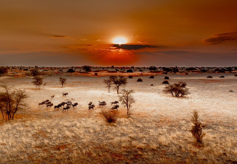 Zambezi Region